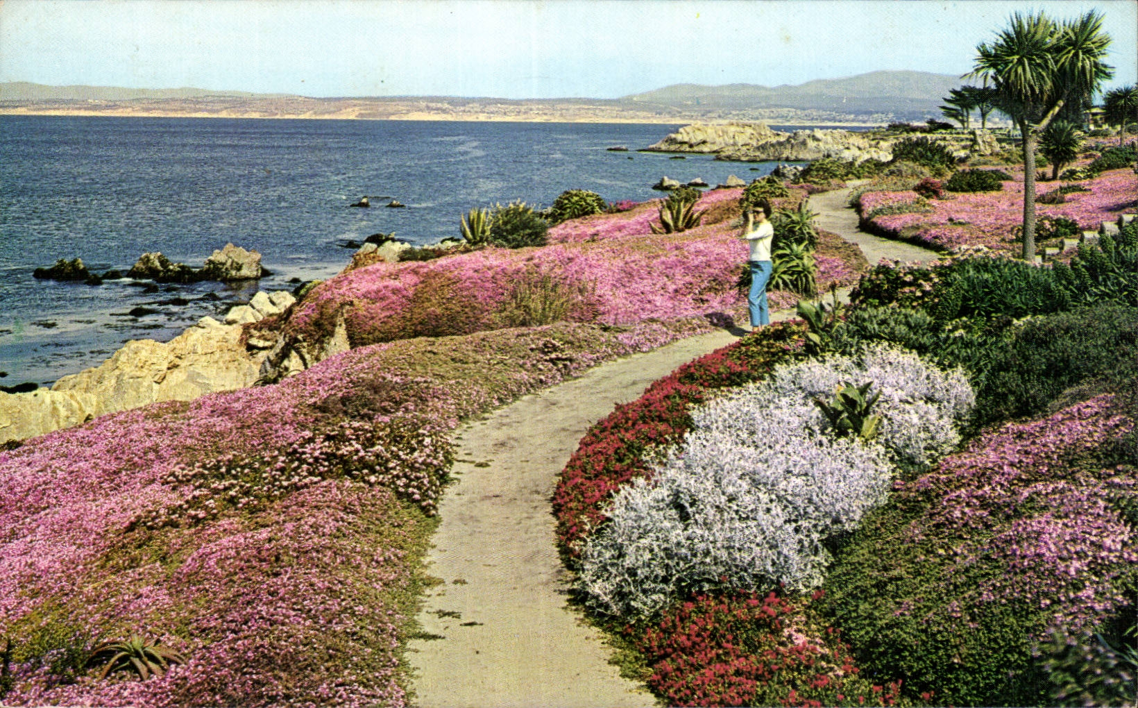 Pacific Grove, Californie — vue de la péninsule de Monterey — Union Pacific Color Photo