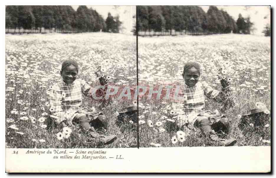 Cartes Stereoscopiques - USA - Amerique du Nord - Scene Enfantine - Au Milieu les Marguerites - CPA