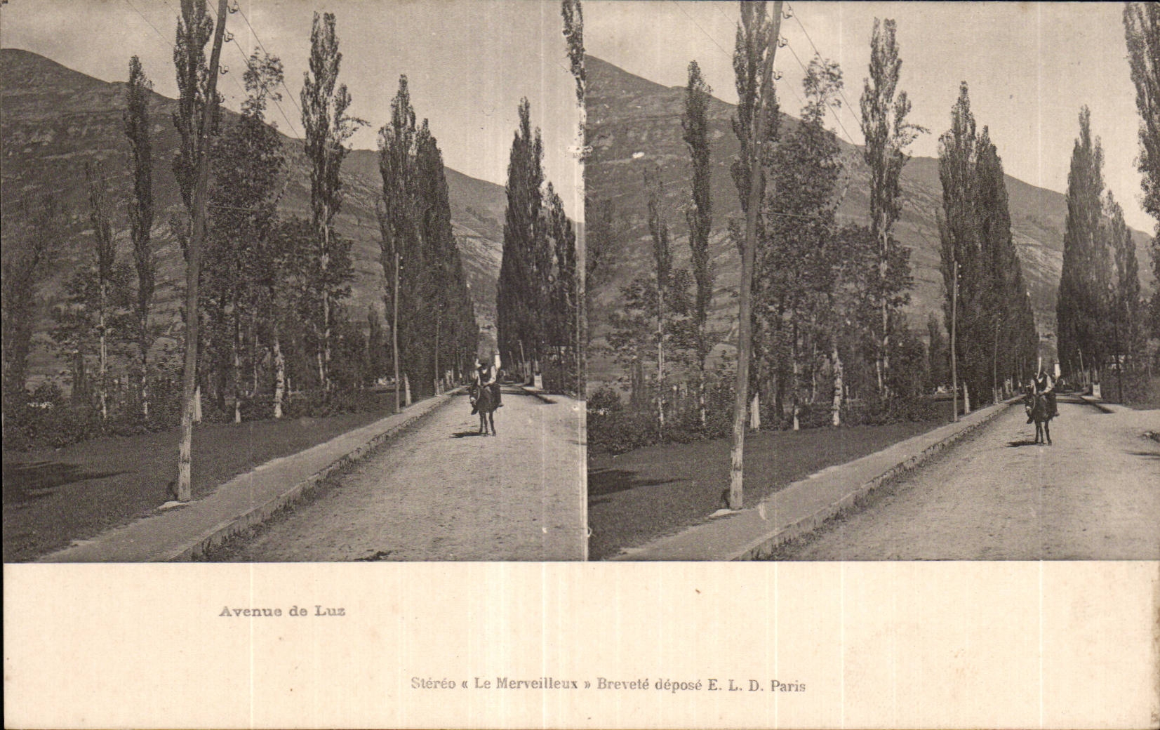 Carte Stereoscopique - Avenue de Luz - CPA 