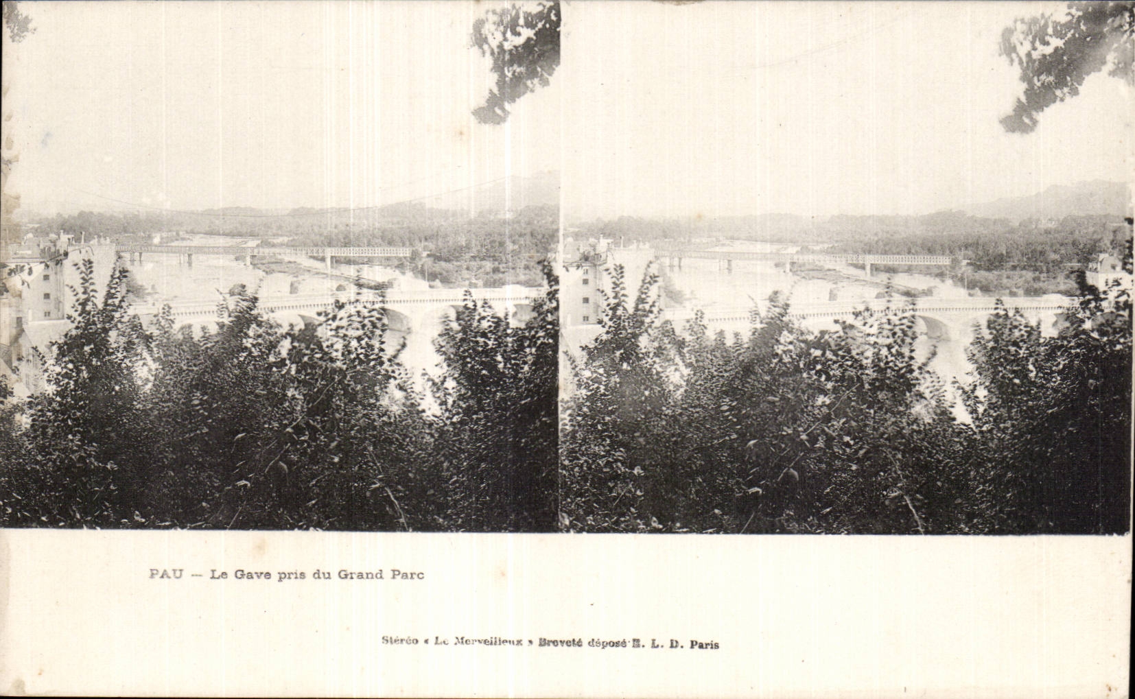 Carte Stereoscopique - Pau - Le Gave pris du Grand Parc - CPA 