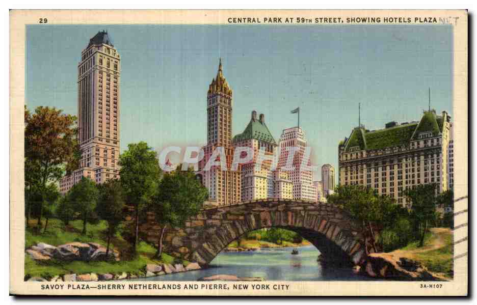 CPA Savoy Plaza Sherry Netherlands and Pierre New York City