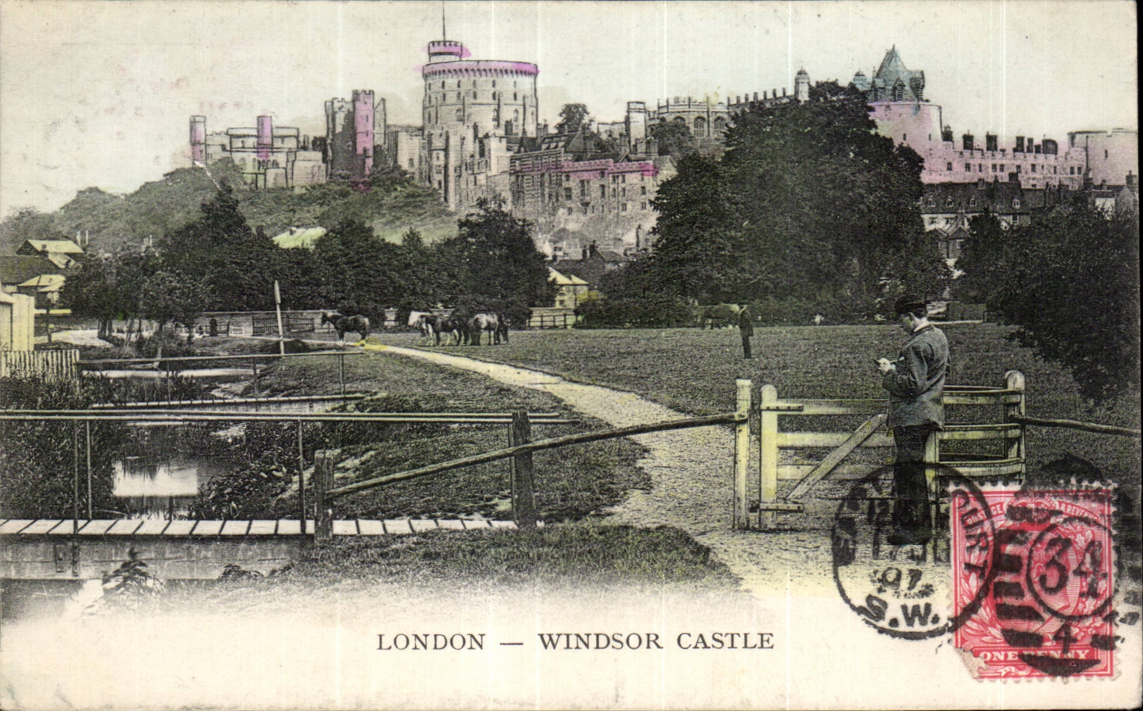 CPA London Windsor Castle Cheval Horse