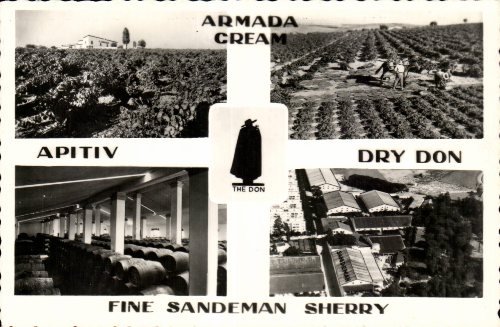CPSM Aramada Cream Apitiv Dry Don Fine Sandeman Sherry Vignoble Vin Alcool