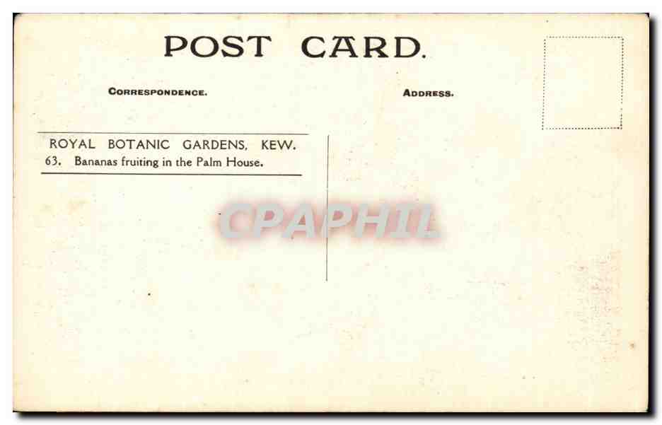 CPA Royal Botanic Gardens KEW Bananas fruiting in the Palm House banane — Verso
