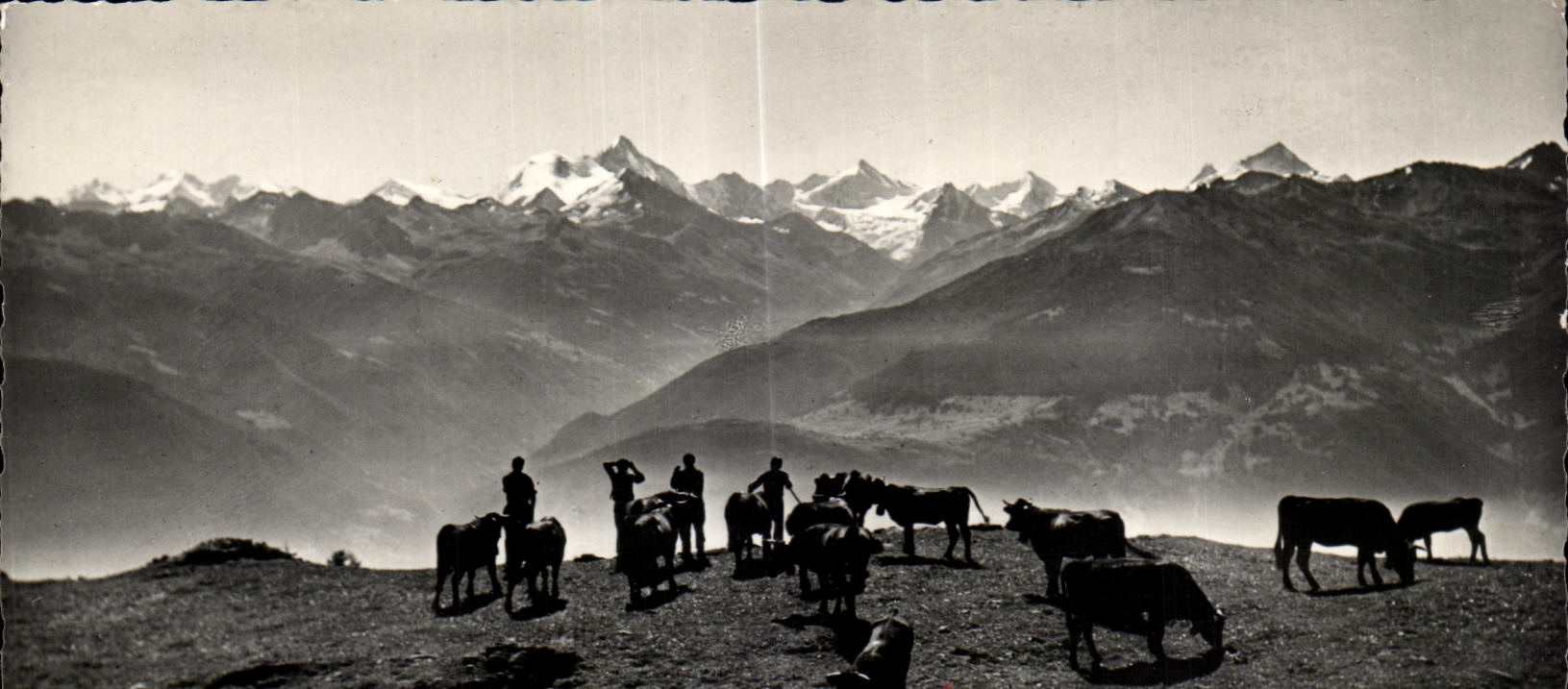 Crans-Sierre — Paturage du Mt. Lachaux, Les Mischabels — Ch. Dubout, Crans, No. 48