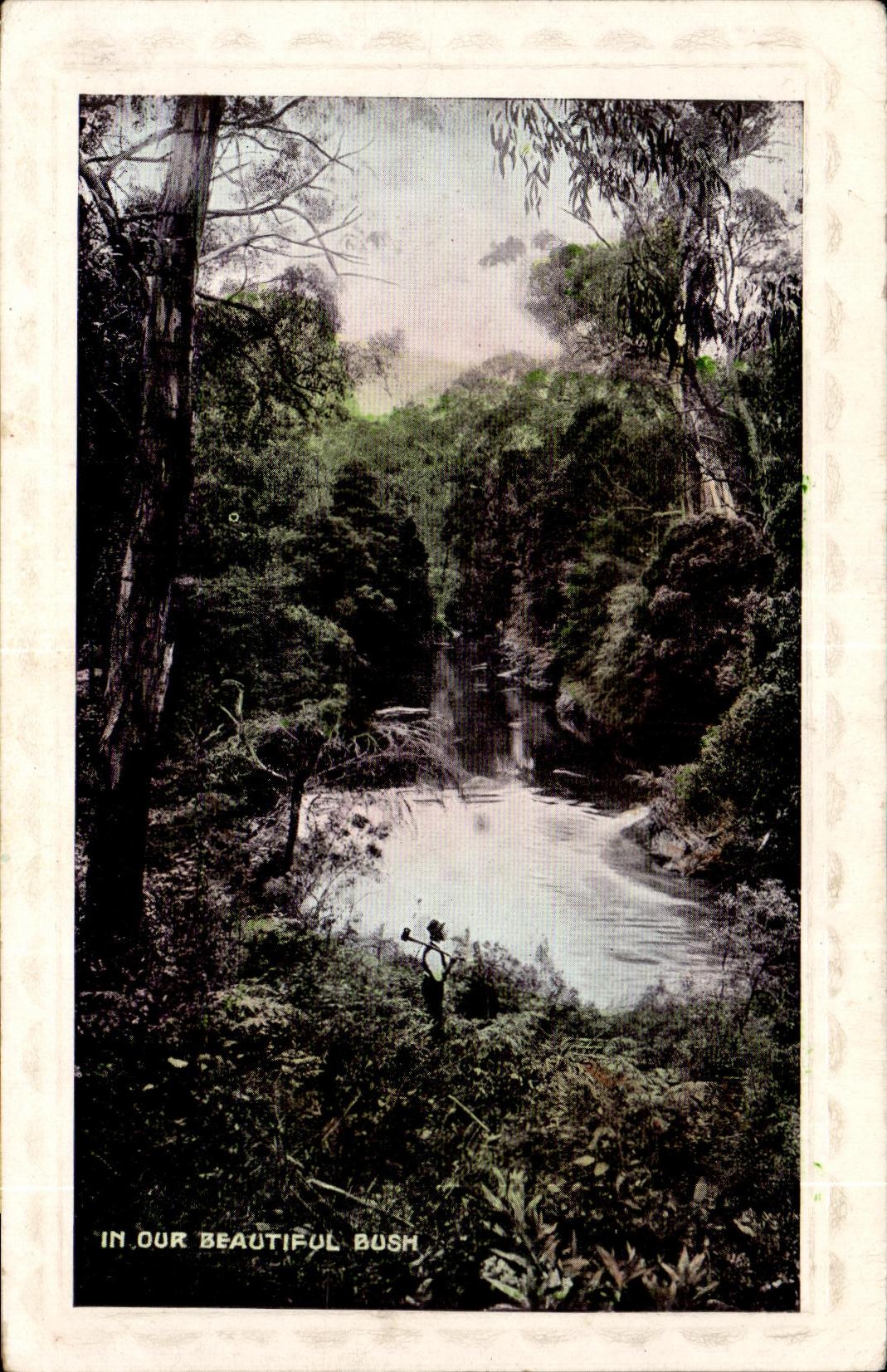 CPA In Our Beautiful Bush Autrialie Australia 