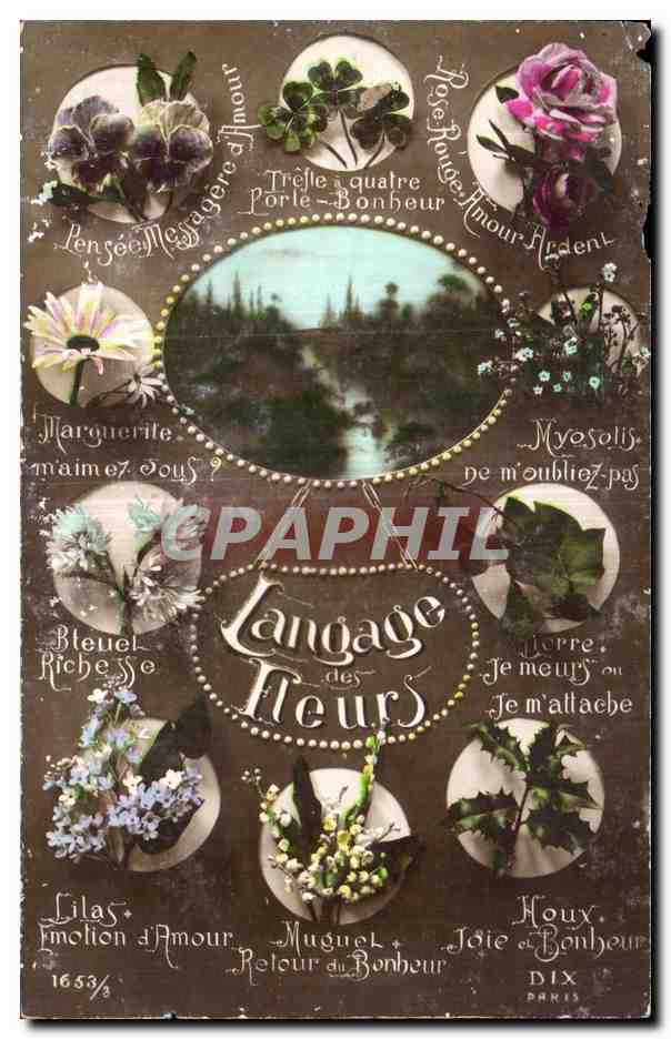 CPA Fantaisie Fleurs Langage des Fleurs