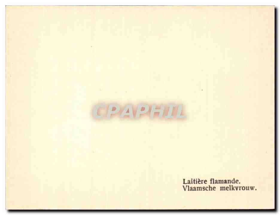 Laitière flamande — avec chiens attelés — éditeur CPAPHIL, n° de série non visible — Reverso