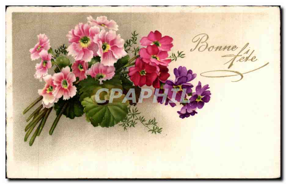 CPA Fantaisie Fleurs 