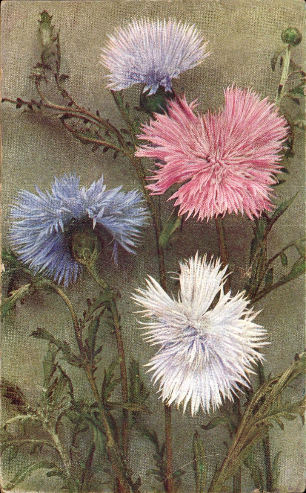 CPA Fantaisie Fleurs 