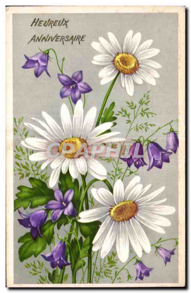 CPA Fantaisie Fleurs 