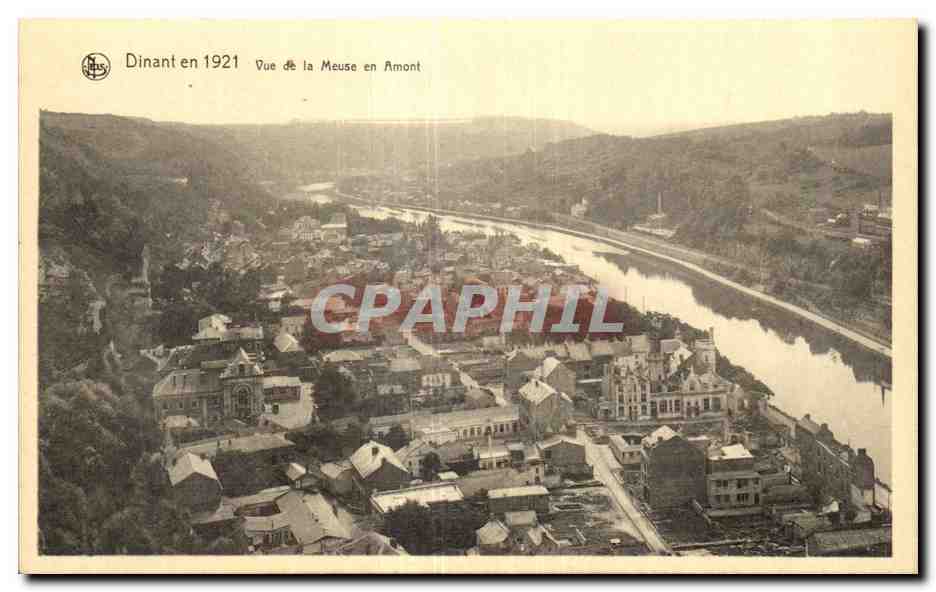 CPA Dinant Vue de la Meuse en Amont