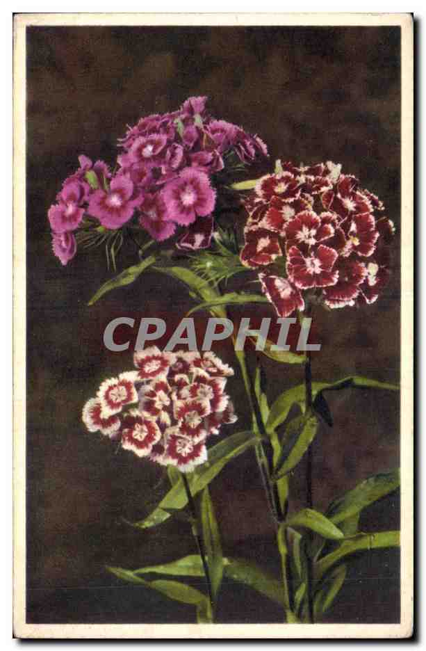 CPA Fantaisie Fleur 