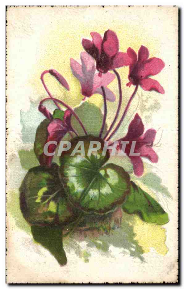 CPA Fantaisie Fleur 