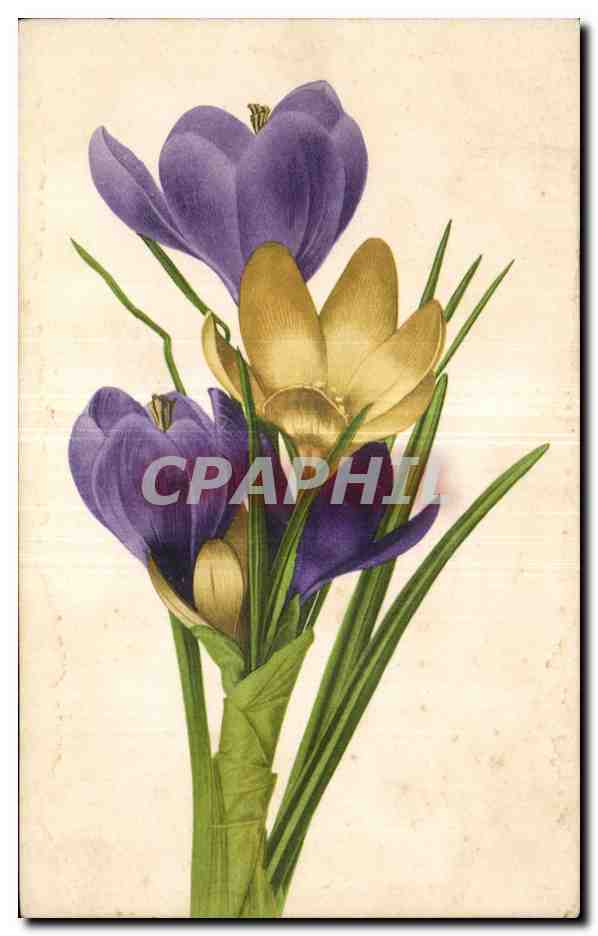 CPA Fantaisie Fleur 