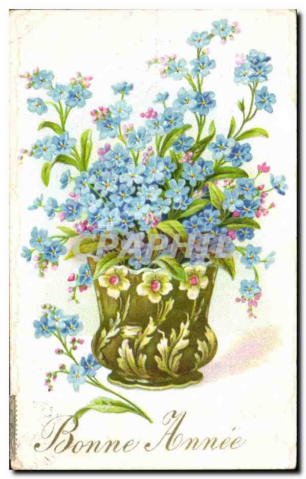CPA Fantaisie Fleur 