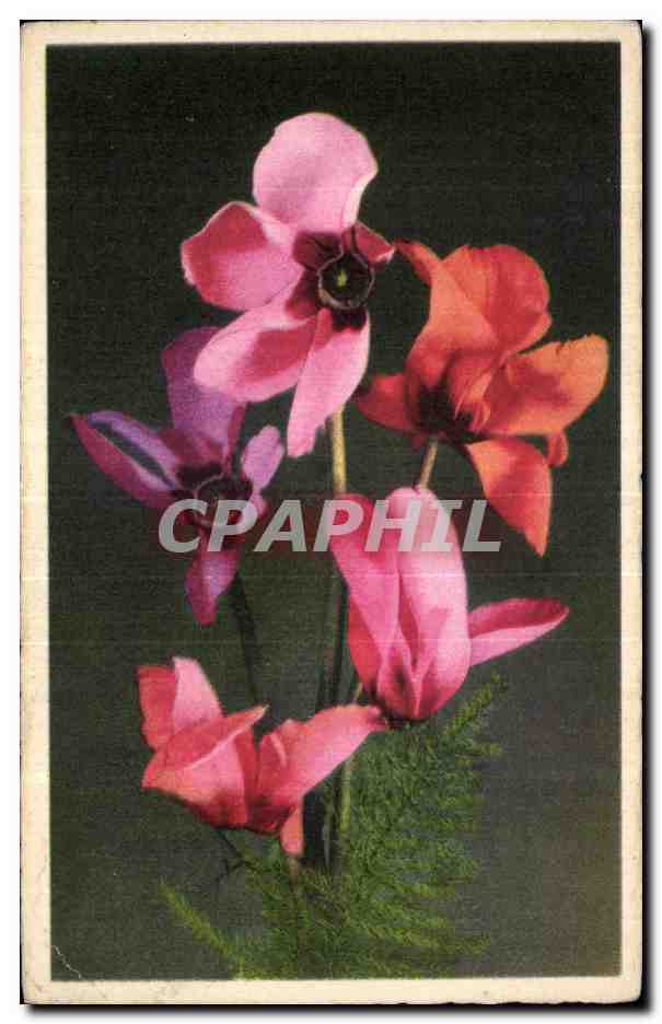 CPA Fantaisie Fleur 