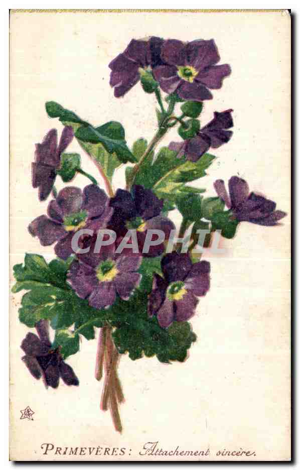 CPA Fantaisie Fleur 