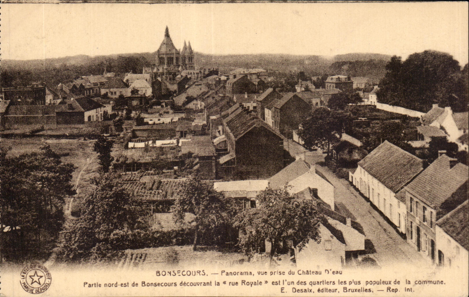 CPA Bonsecours Panorama Vue prise du Chateau