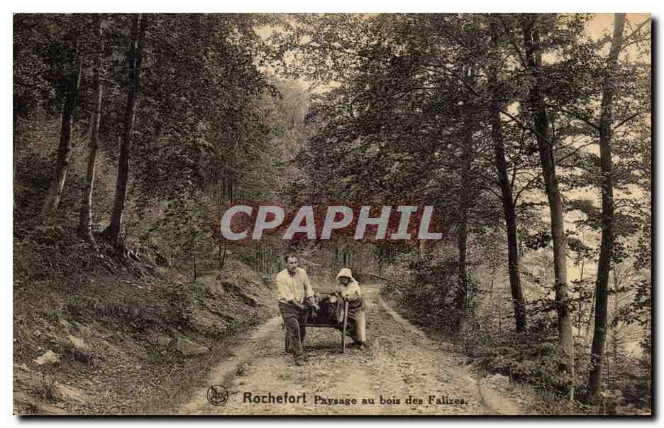 CPA Rochefort Paysage au bois des falizes