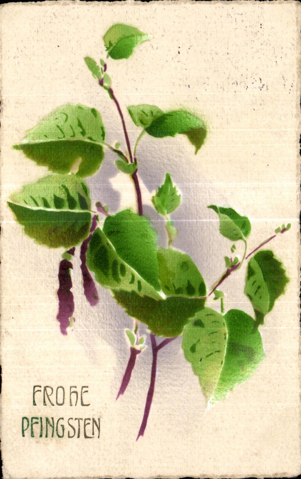 CPA Fleurs 