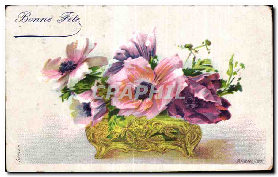 CPA Fleurs 