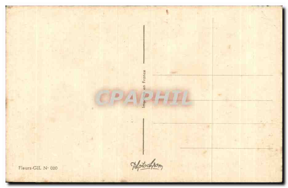 CPA Fleurs  — Verso