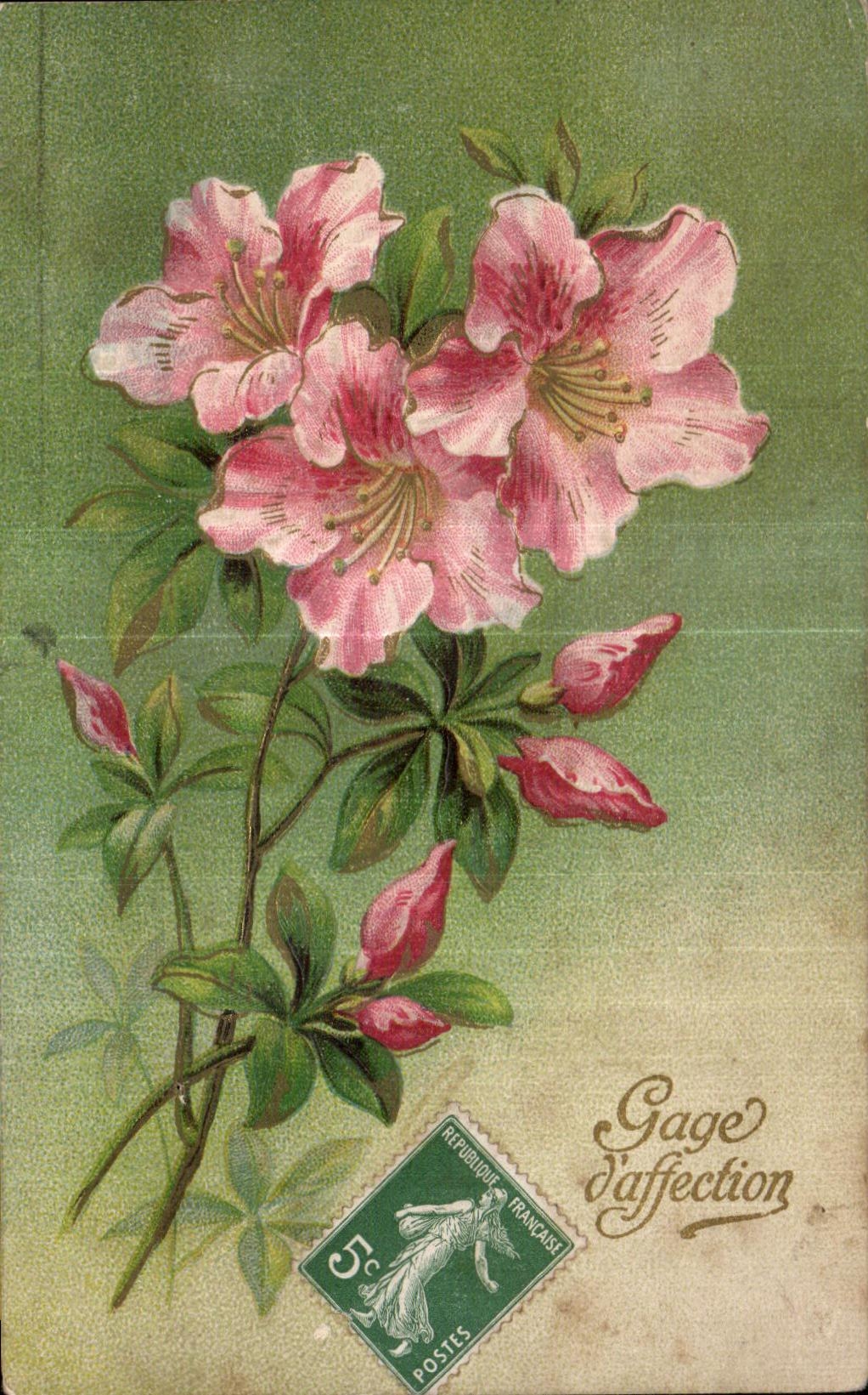 CPA Fleurs 