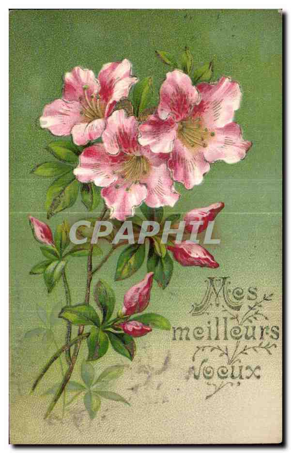 CPA Fleurs 