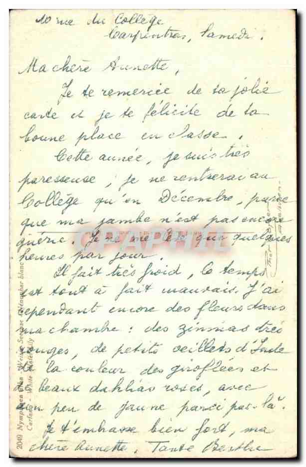 CPA Fantaisie Fleur  — Verso