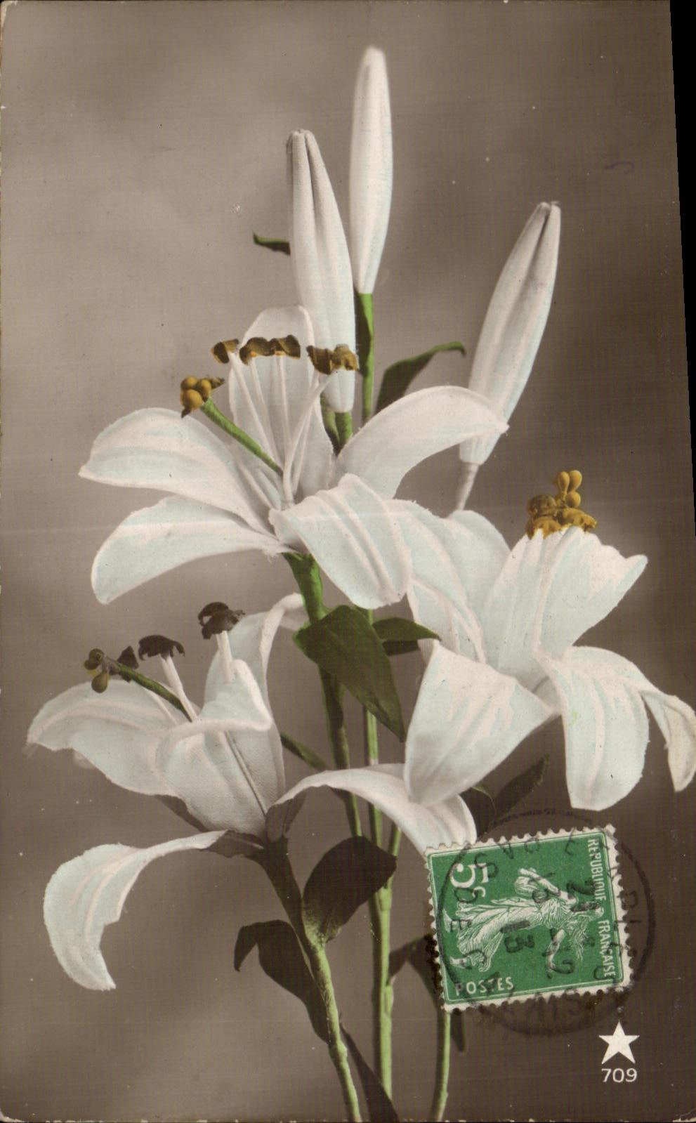 CPA Fantaisie Fleur 