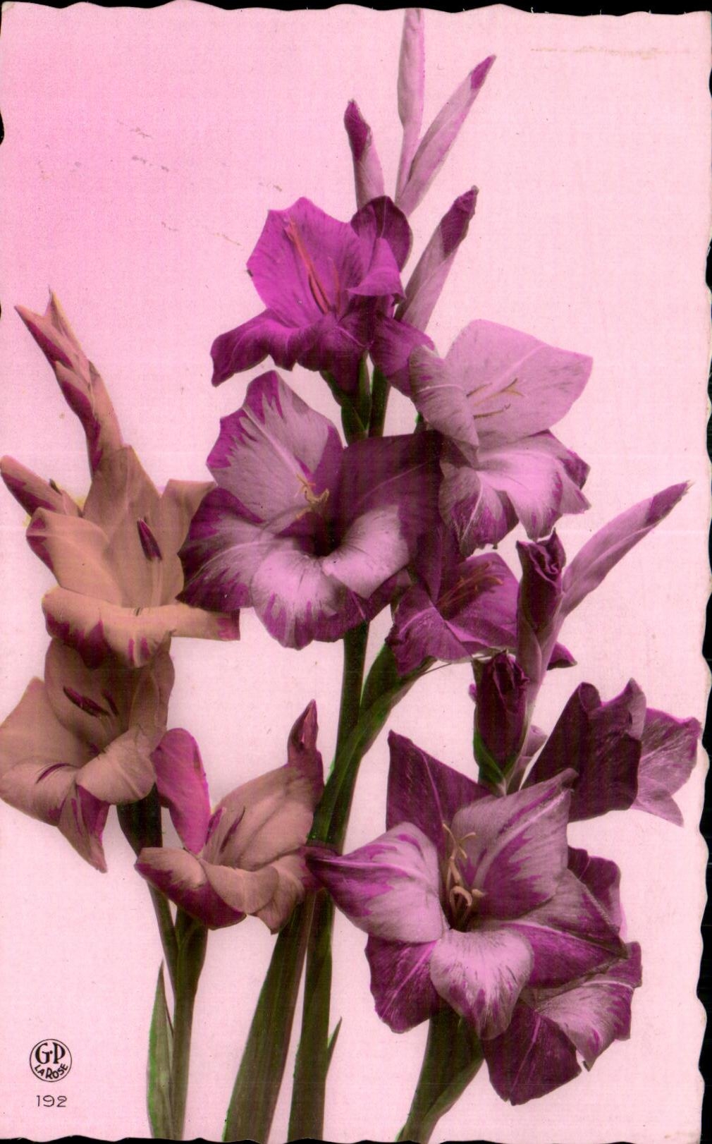 CPA Fantaisie Fleur 