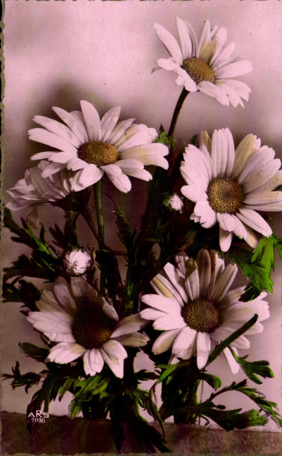 CPA Fantaisie Fleur 