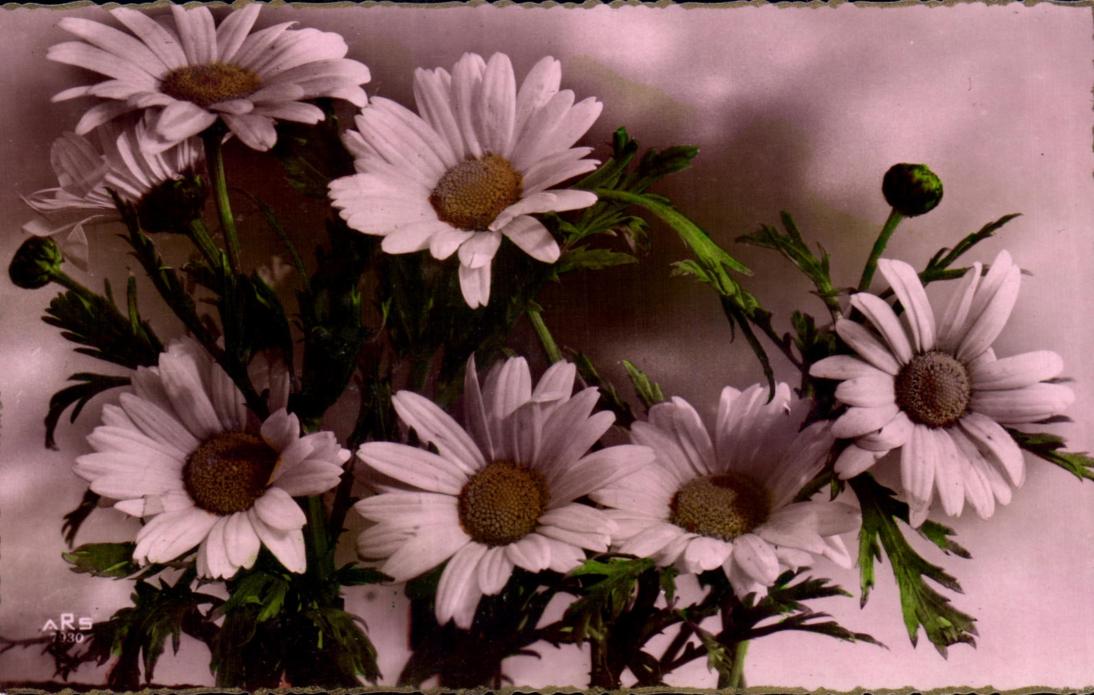 CPA Fantaisie Fleur 