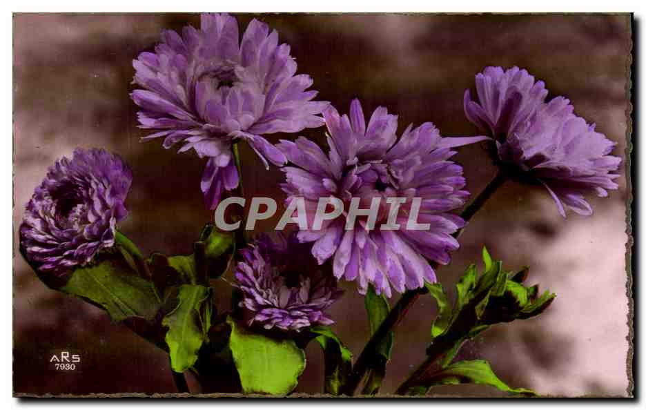 CPA Fantaisie Fleur 
