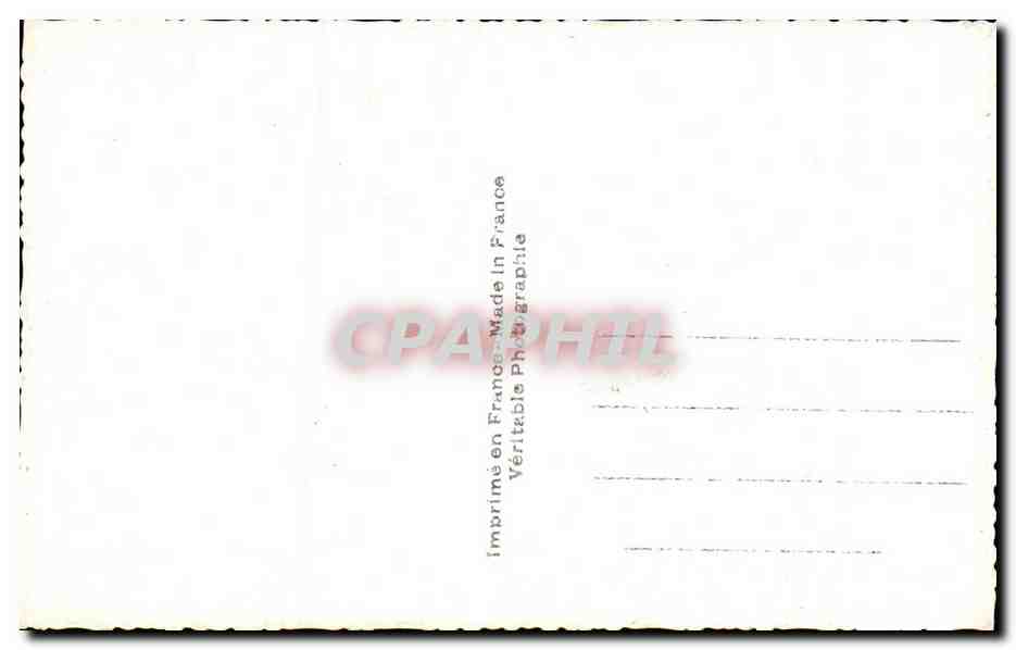 CPA Fantaisie Fleur  — Verso