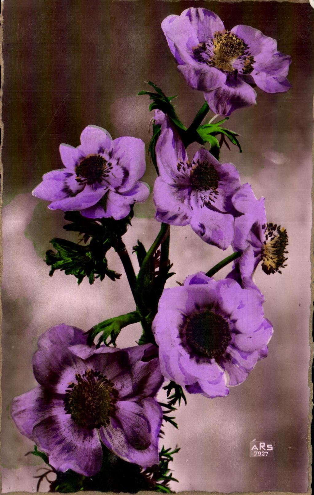 CPA Fantaisie Fleur 