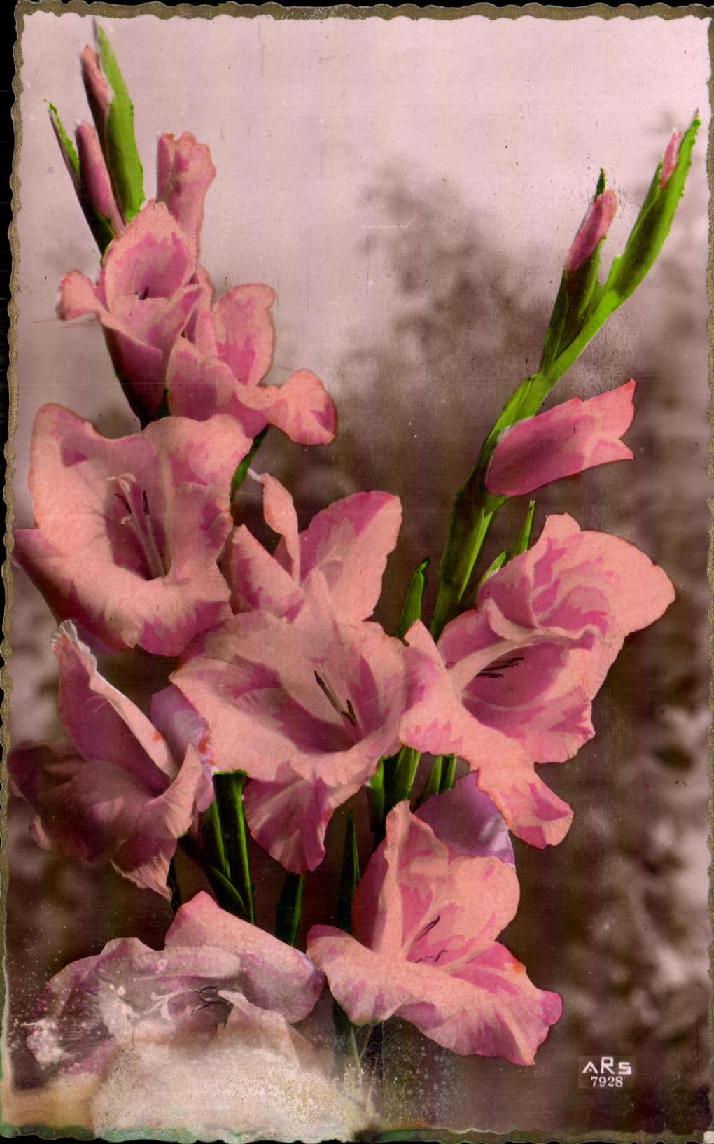 CPA Fantaisie Fleur 