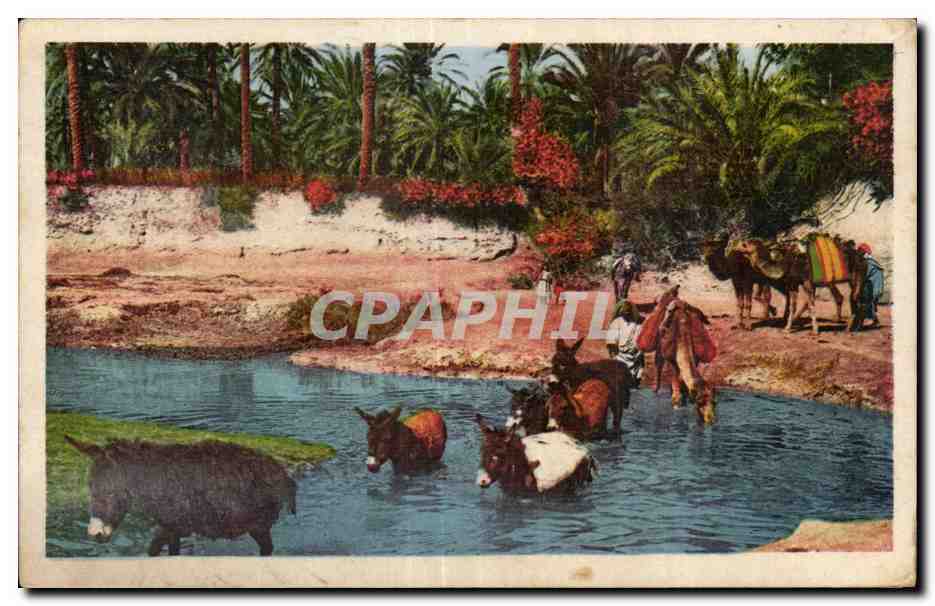 Passage de l'Oued — Scènes et Types — Éditeur C. DES AFFE PHOTOMÉCANIQUES (n°1258)