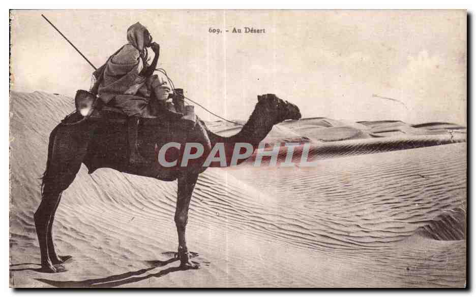 CPA Algerie Au Desert Chameau Camel