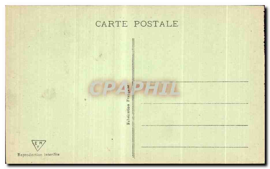 CPA Algerie Au Desert Chameau Camel — Rückseite