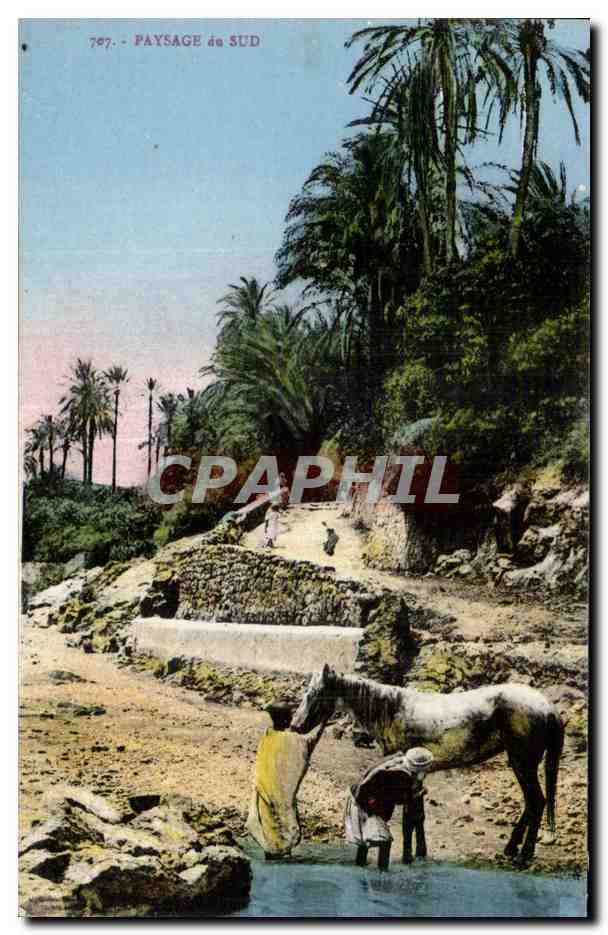 CPA Algerie Paysage du SUD