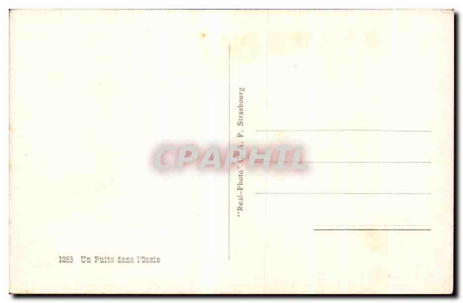 CPA Algerie Un Puits dans I Oasis — Rückseite