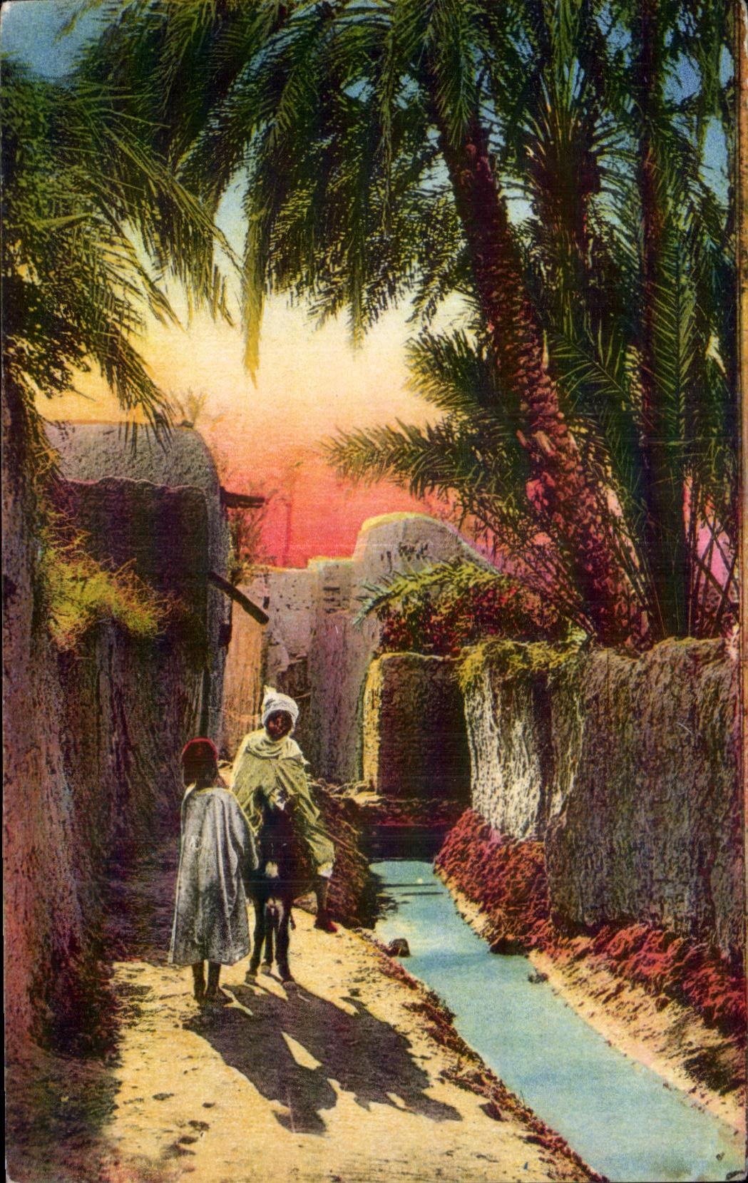 CPA Algerie Scene de Village Arabe Ane Donkey 