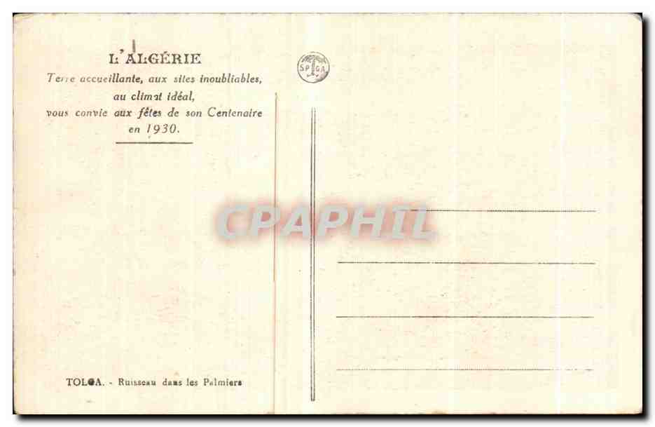 CPA L Algerie Tolga Ruisseau dans les palmiers  — Back
