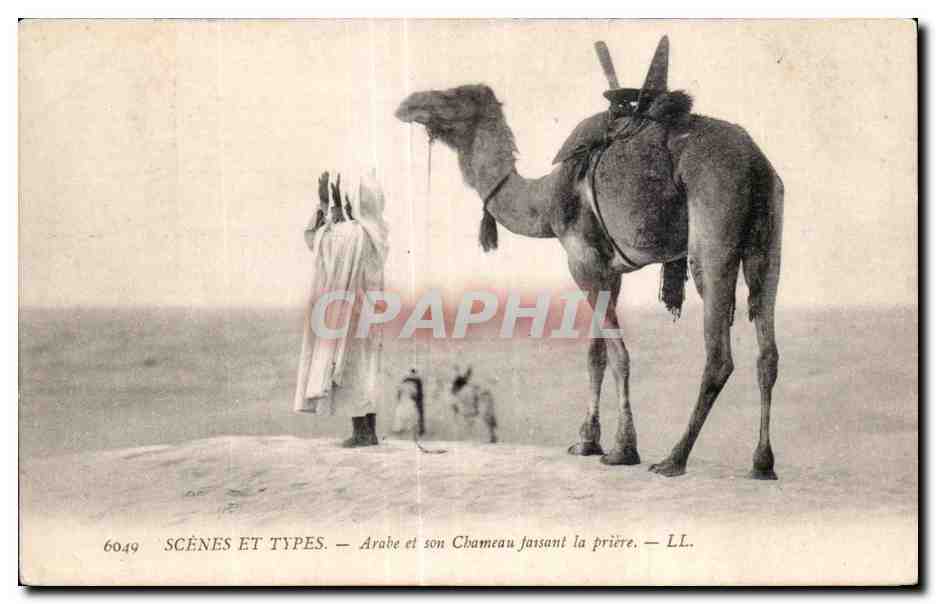 CPA Algerie Scenes Et Types Arabe et son Chameau faisant la priere Camel