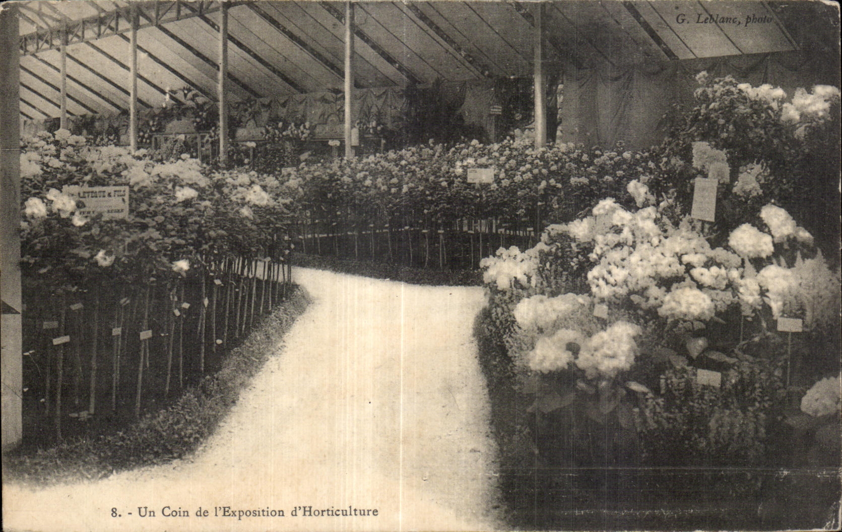 CPA Fantaisie Fleurs Un coin de l exposition d horticulture 