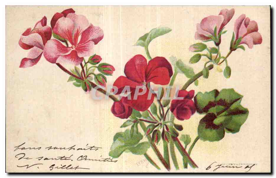 CPA Fantaisie Fleurs 
