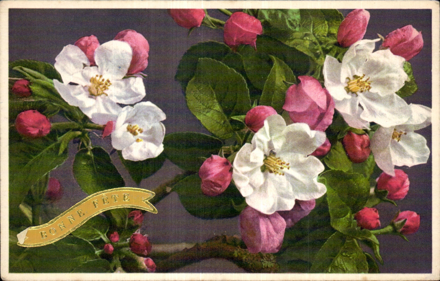 CPA Fantaisie Fleurs 