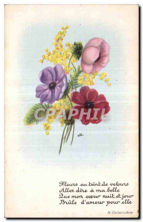 CPA Fantaisie Fleurs 